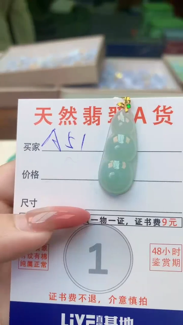 颈饰未镶嵌翡翠天然A货翡翠挂件