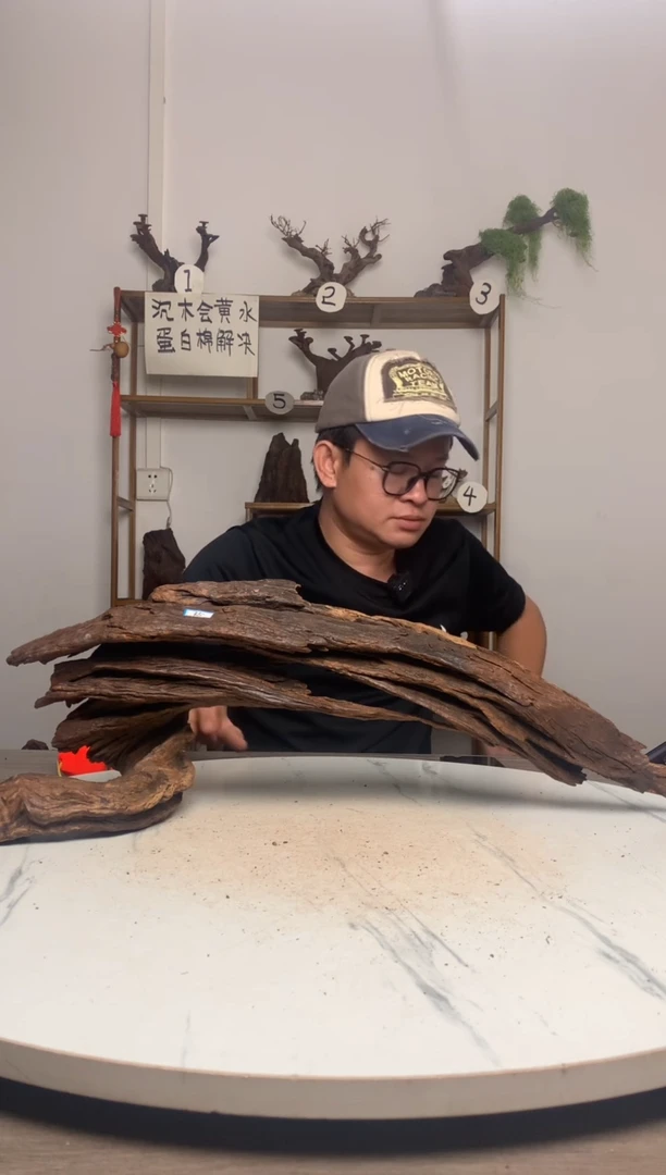 一****瓜鱼缸造景沉木摆件