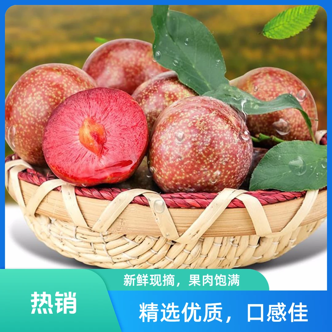 （只做精品果）钱排三华李李子广东当季酸甜孕妇水果红心李2-5斤