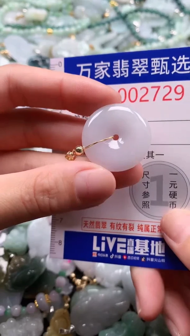 翡翠未镶嵌吊坠(不含链)2729