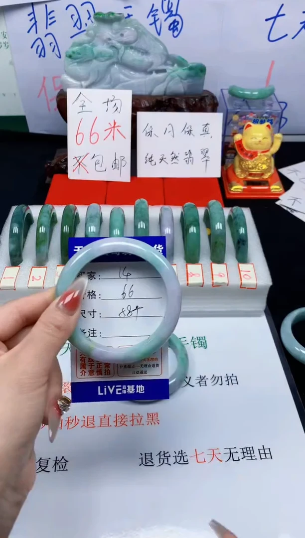 未镶嵌手镯翡翠14