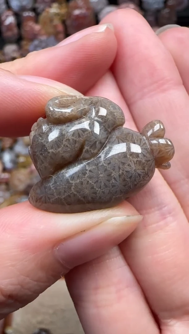 颈饰未镶嵌硅化珊瑚（珊瑚玉）813