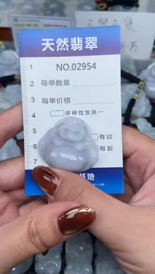 颈饰未镶嵌翡翠纯天然A货翡翠2954