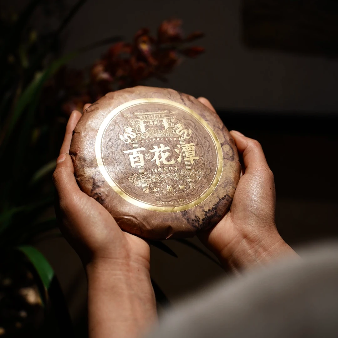 2024年 百花潭【高杆王】 普洱生茶（紧压茶）