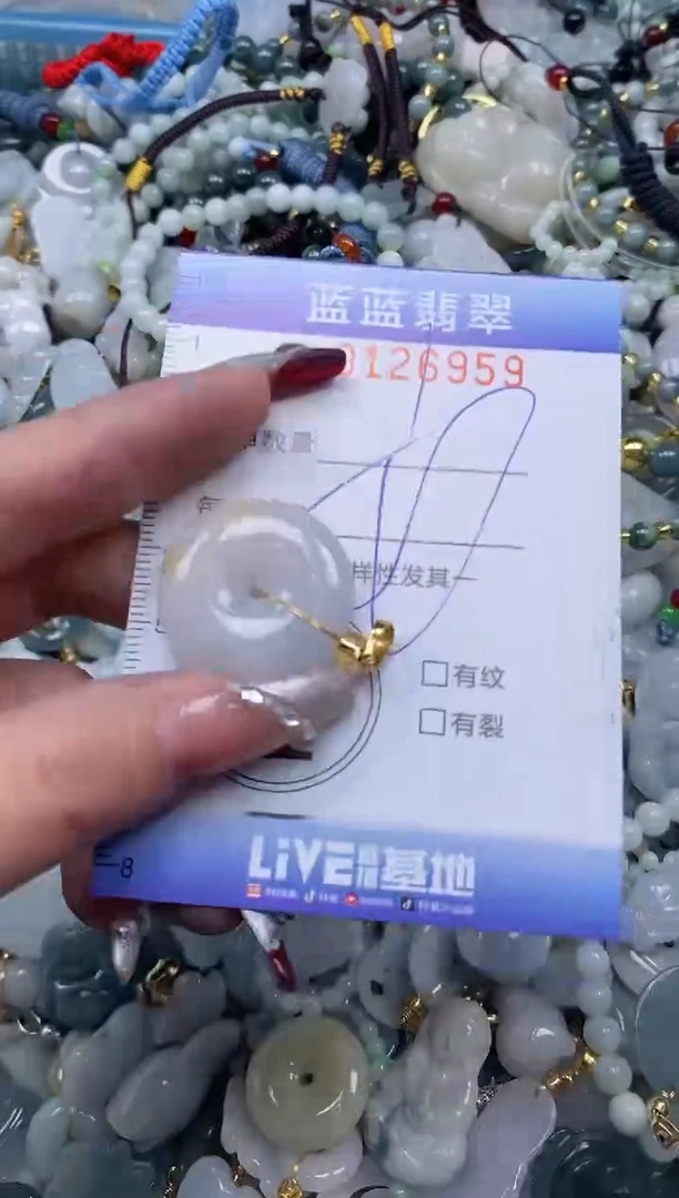 【闪购商品】翡翠颈饰未镶嵌闪购0126959多样性发其一