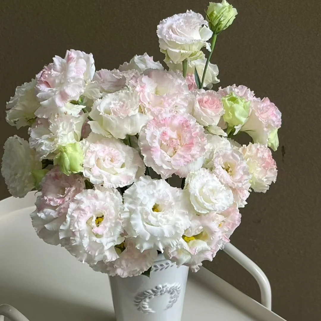 特价【次日达·冰激凌洋桔梗】300g，全场任意两单鲜花顺丰包邮·基地直发·鲜切花批发·次日达