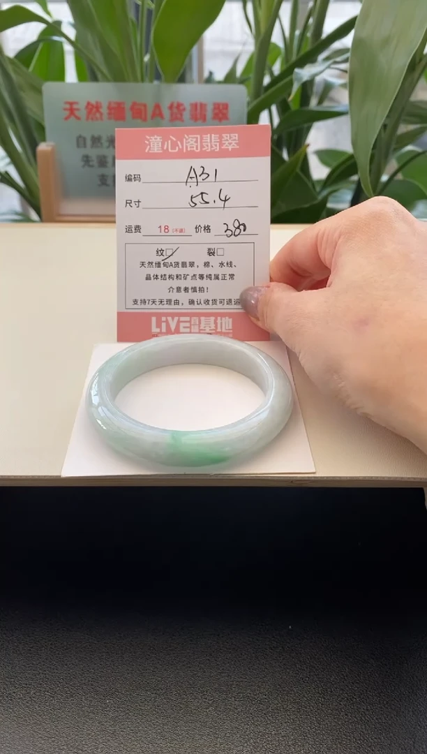 未镶嵌手镯翡翠55.7圈口A31