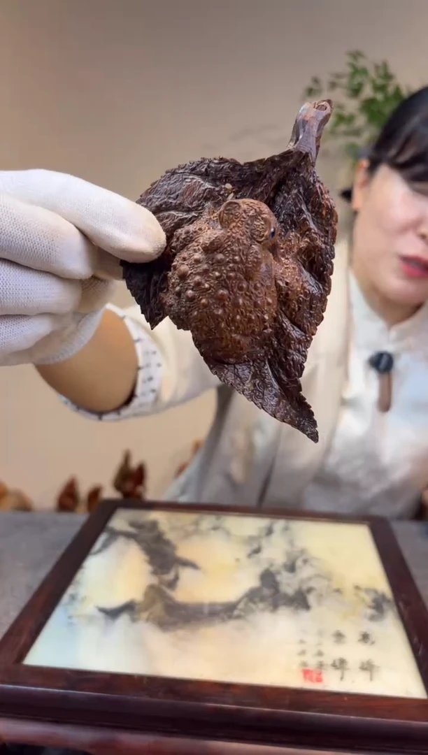 贡木瓦*杨贡木贡木贡木