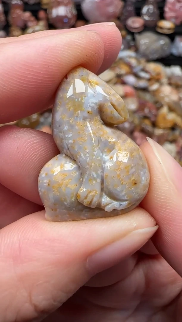颈饰未镶嵌硅化珊瑚（珊瑚玉）527