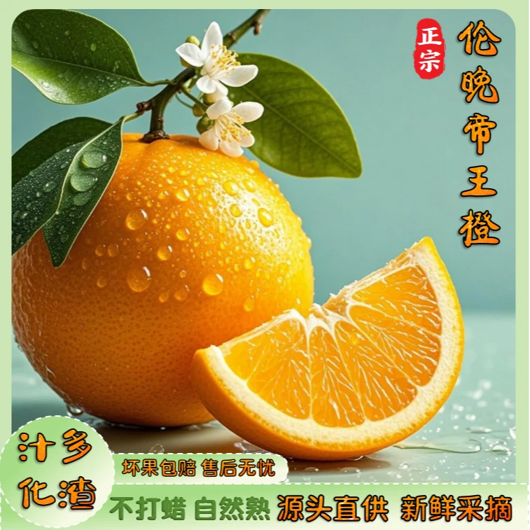 伦晚帝王橙新鲜脐橙春橙晚橙当季水果鲜嫩化渣多汁美味