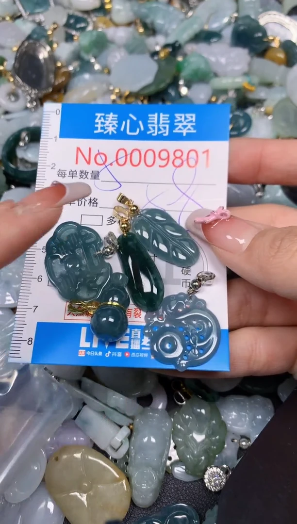 【闪购商品】翡翠颈饰未镶嵌含绳0009801