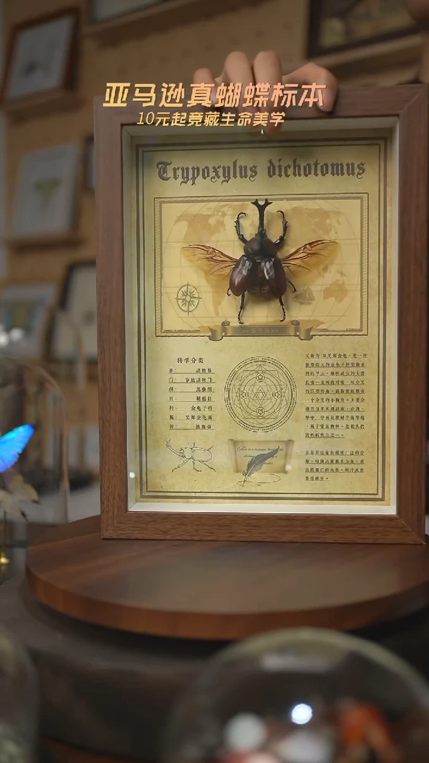 有机玻璃独角仙复古版A4复古框