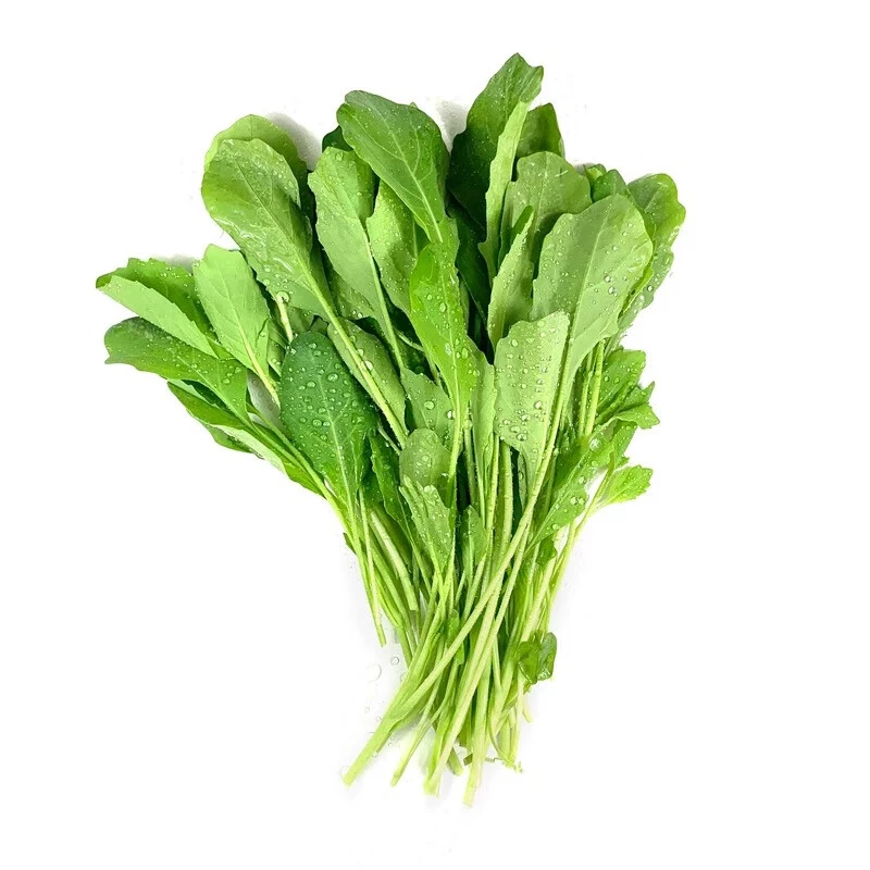 芥兰苗盒500g/盒