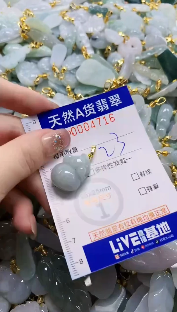 颈饰未镶嵌翡翠天然A货翡翠