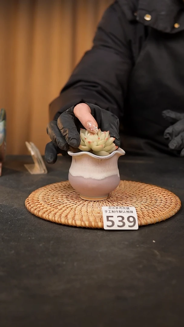 【闪购商品】瓷片539泥泥手工花盆口5高6