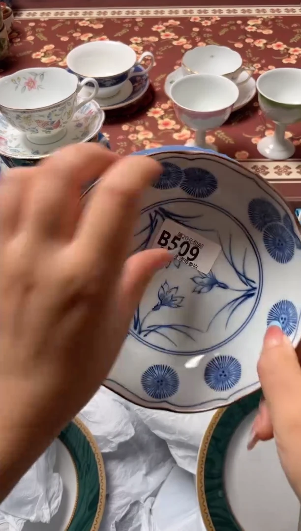 瓷片春*瓷器瓷器B509