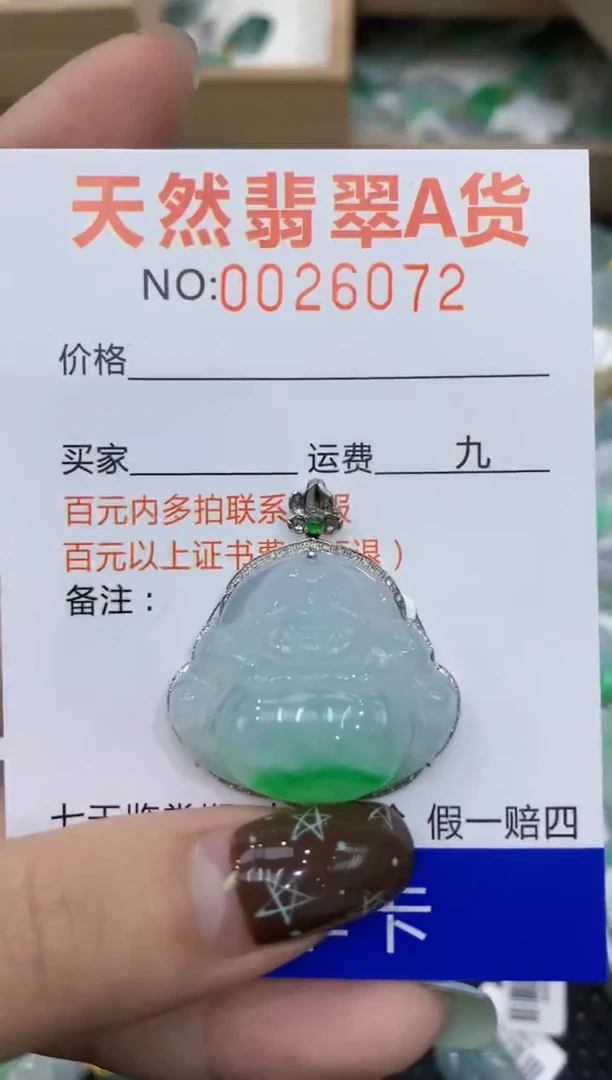 【闪购商品】翡翠颈饰18K金镶嵌11111111111