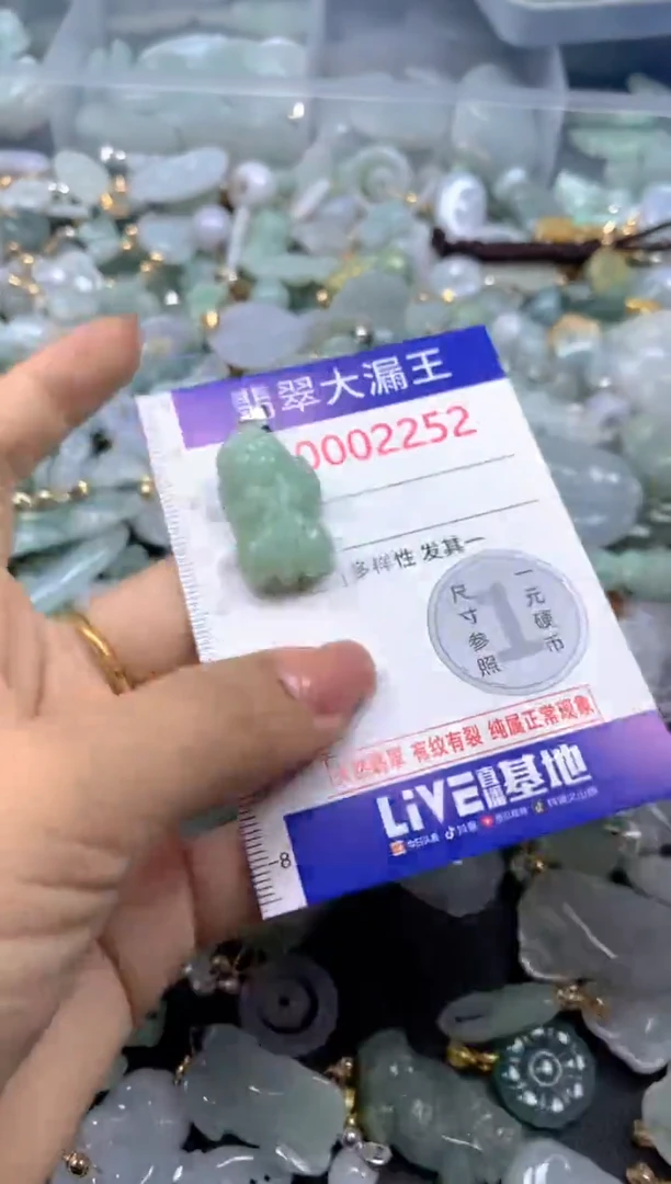 颈饰未镶嵌翡翠2252