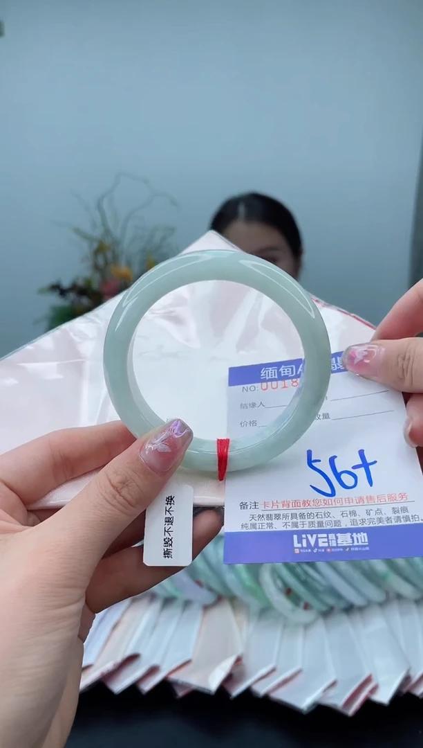 未镶嵌手镯翡翠5