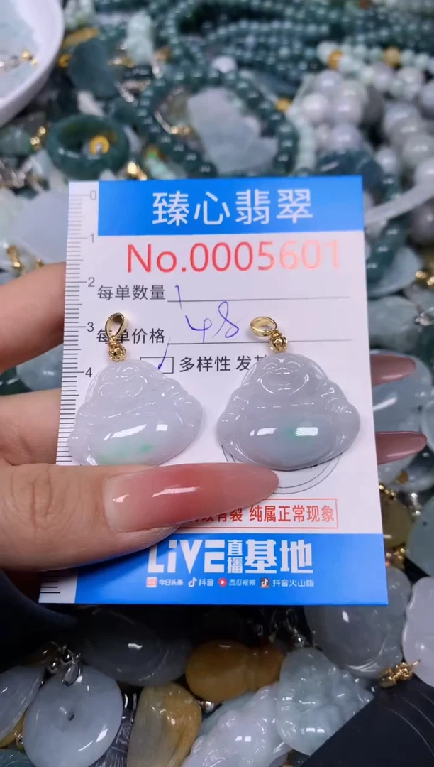 【闪购商品】翡翠颈饰未镶嵌含绳0005601