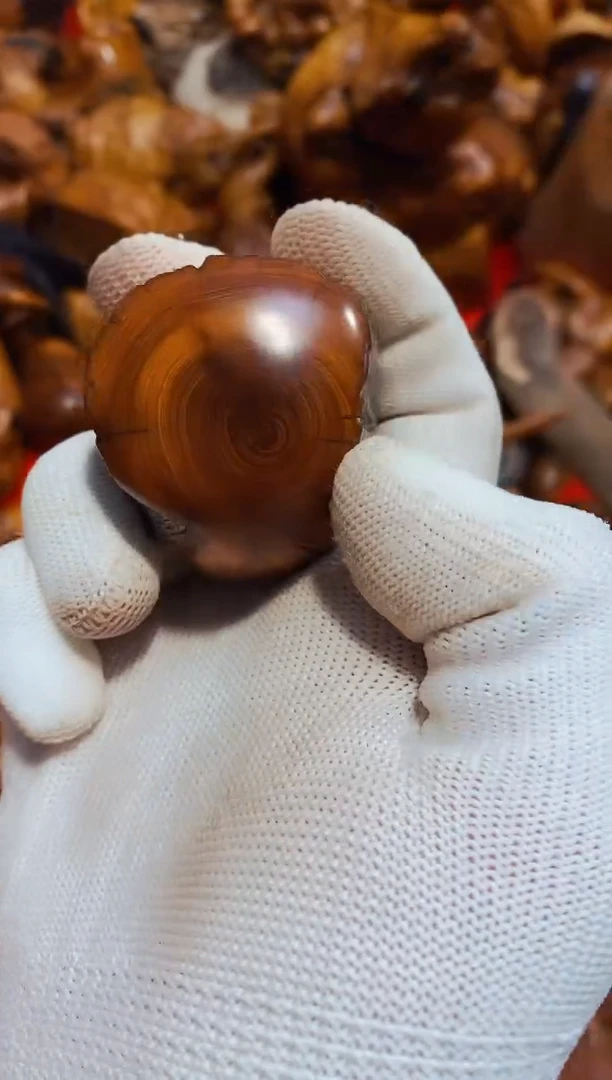 柏木10崖柏崖柏崖柏