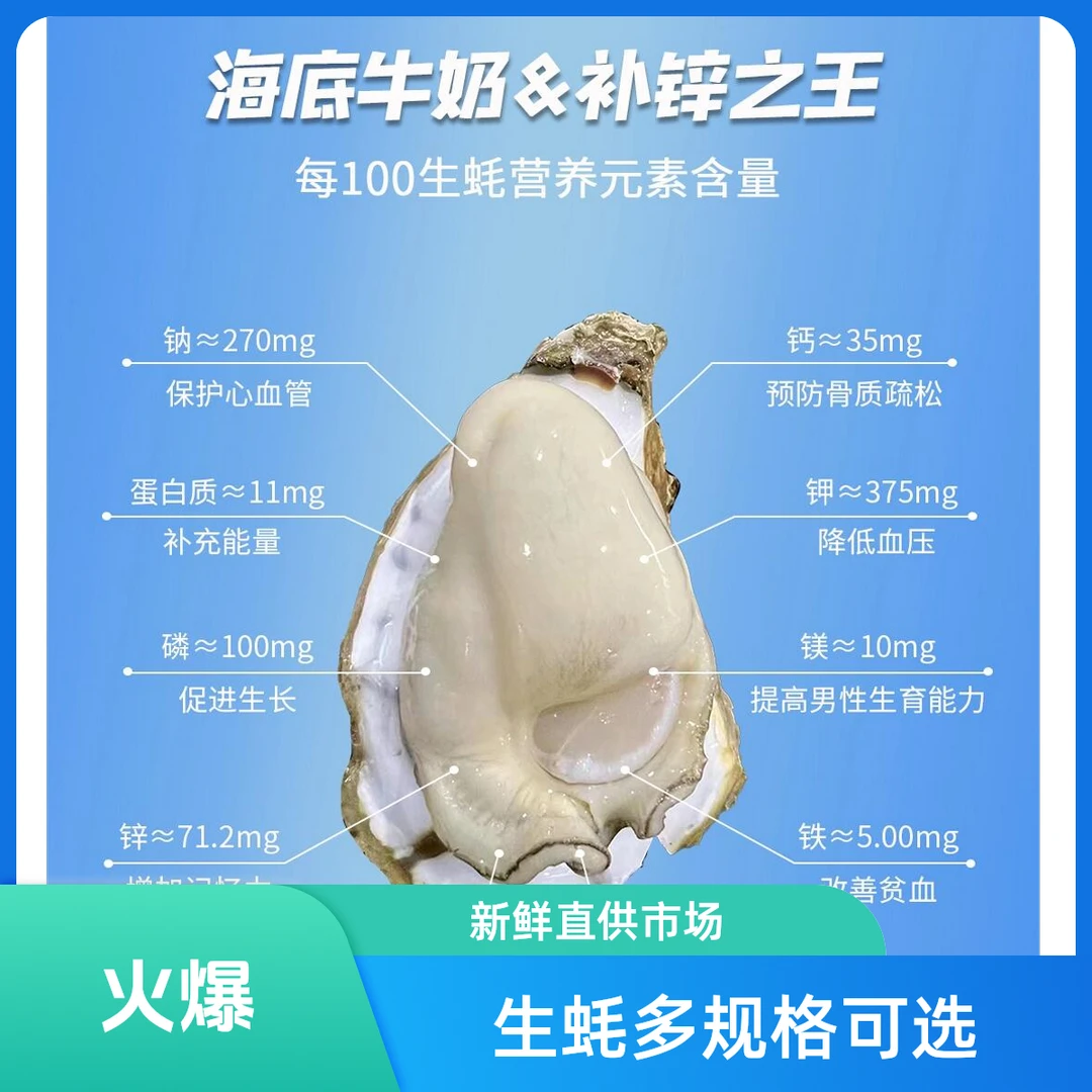 【生蚝】耗想耗想和你在一起1-4 斤【多规格点击选择】