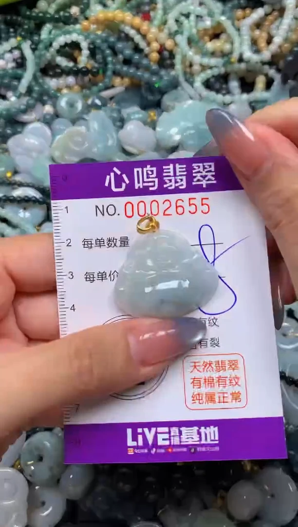 颈饰未镶嵌翡翠闪购002655