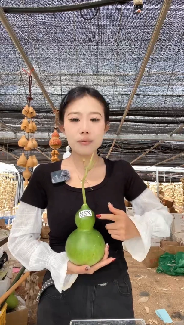 228天然葫芦摆件 一物一拍龙头不保售后