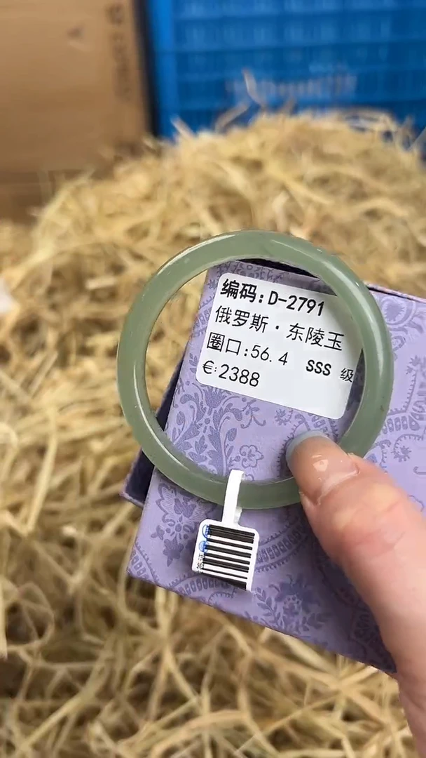 未镶嵌手镯石英质玉D-2791