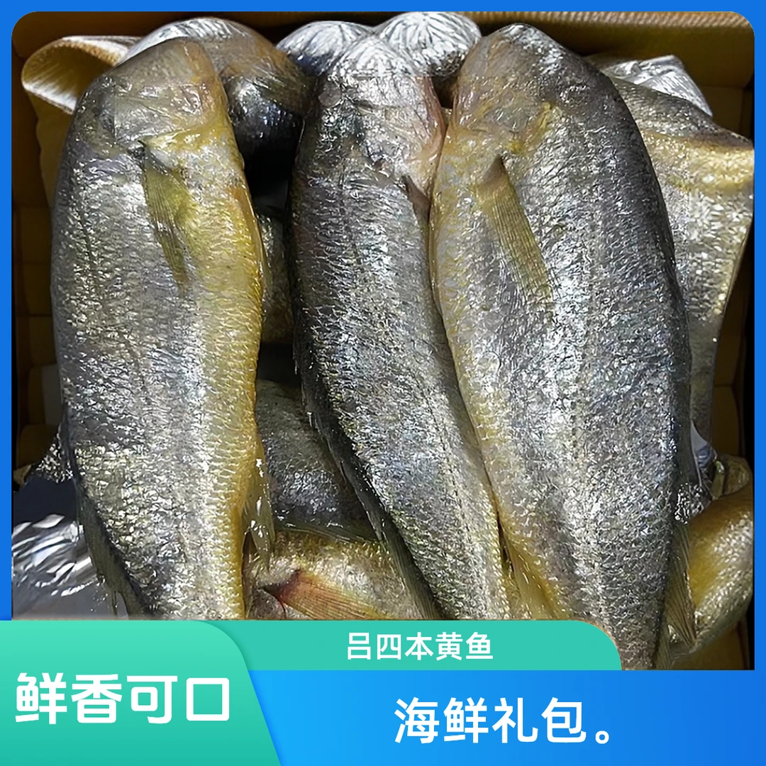 吕四本港海鲜细鳞黄鱼小黄鱼黄花鱼