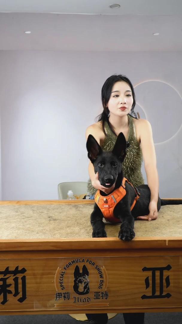 阿瑞斯搭配AK女儿的纯黑公