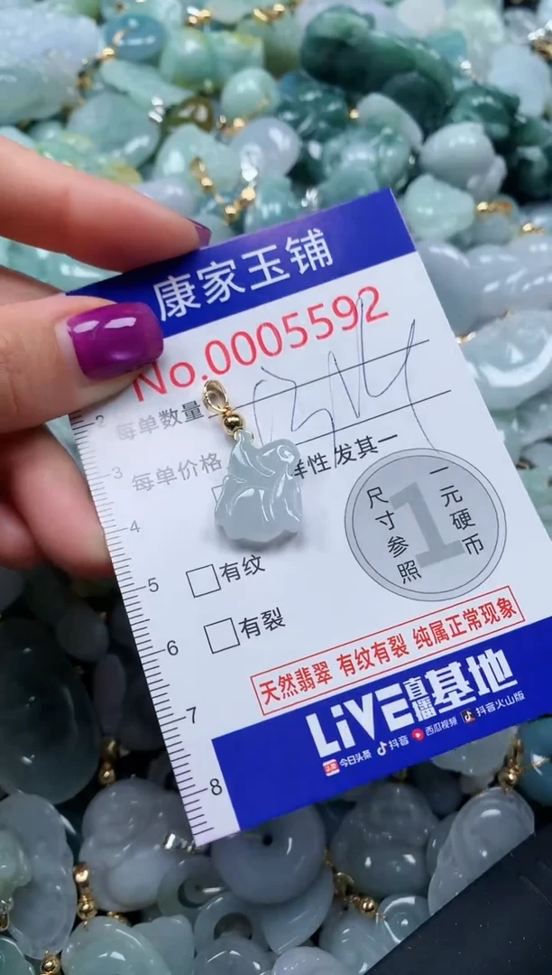 颈饰未镶嵌翡翠5592