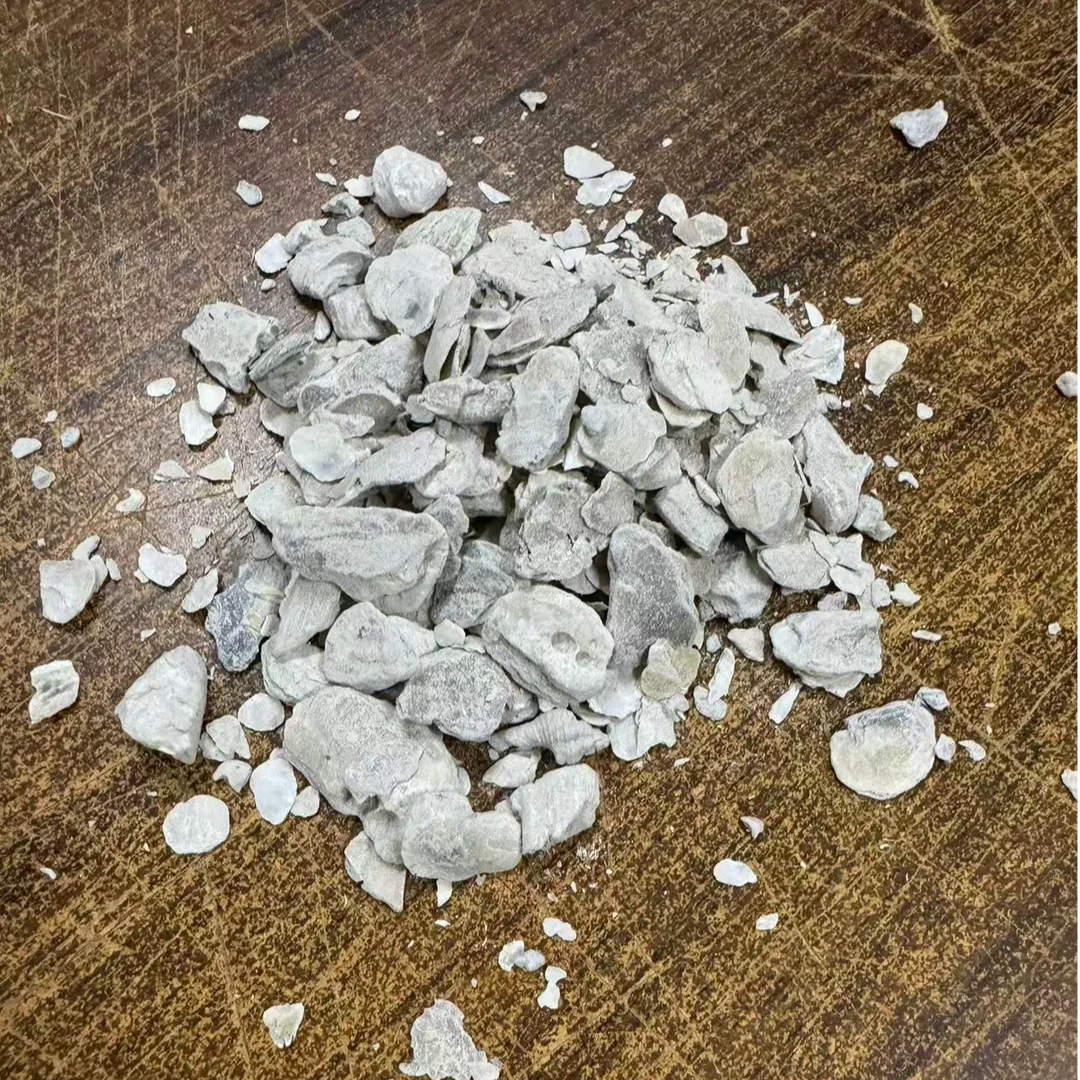 土特产牡蛎精选牡蛎