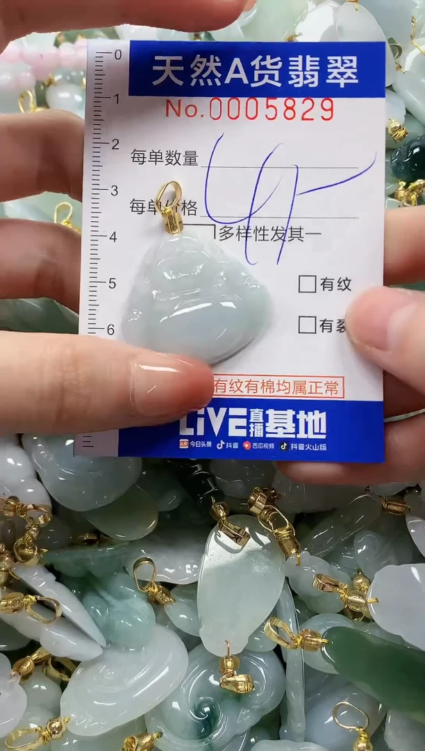 颈饰未镶嵌翡翠纯天然a货翡翠