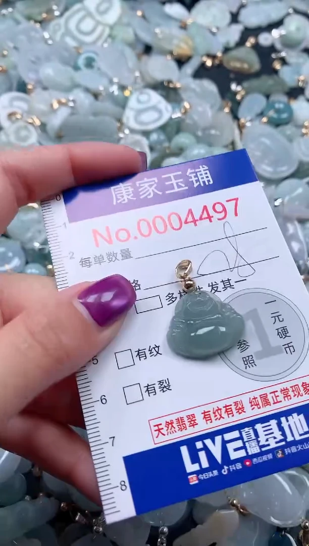 颈饰未镶嵌翡翠4497