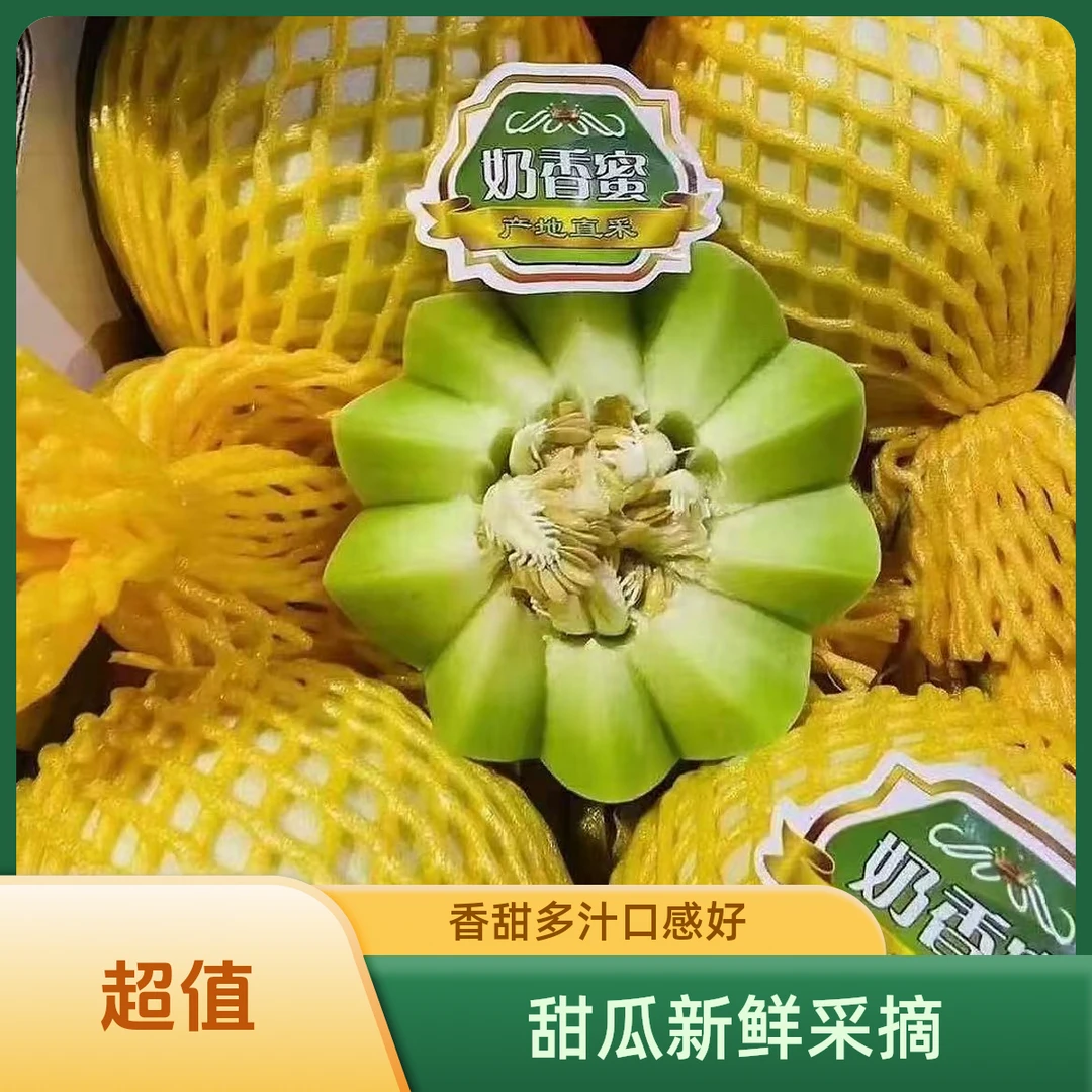 【玉菇甜瓜】份1颗仅限柳林离石中阳可拍云南省