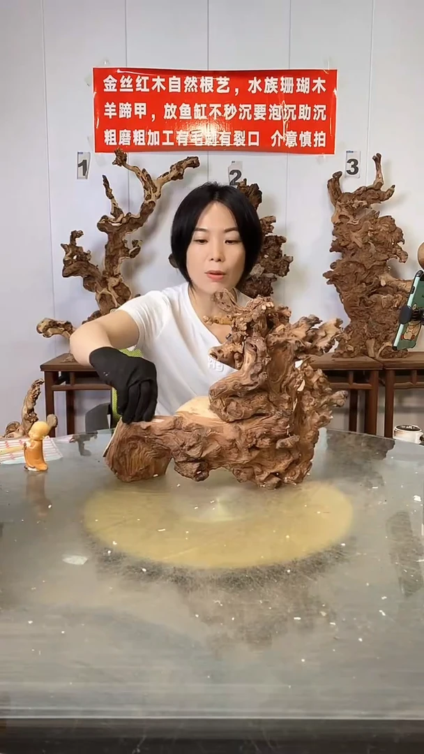 香榧木金丝红木  羊蹄甲