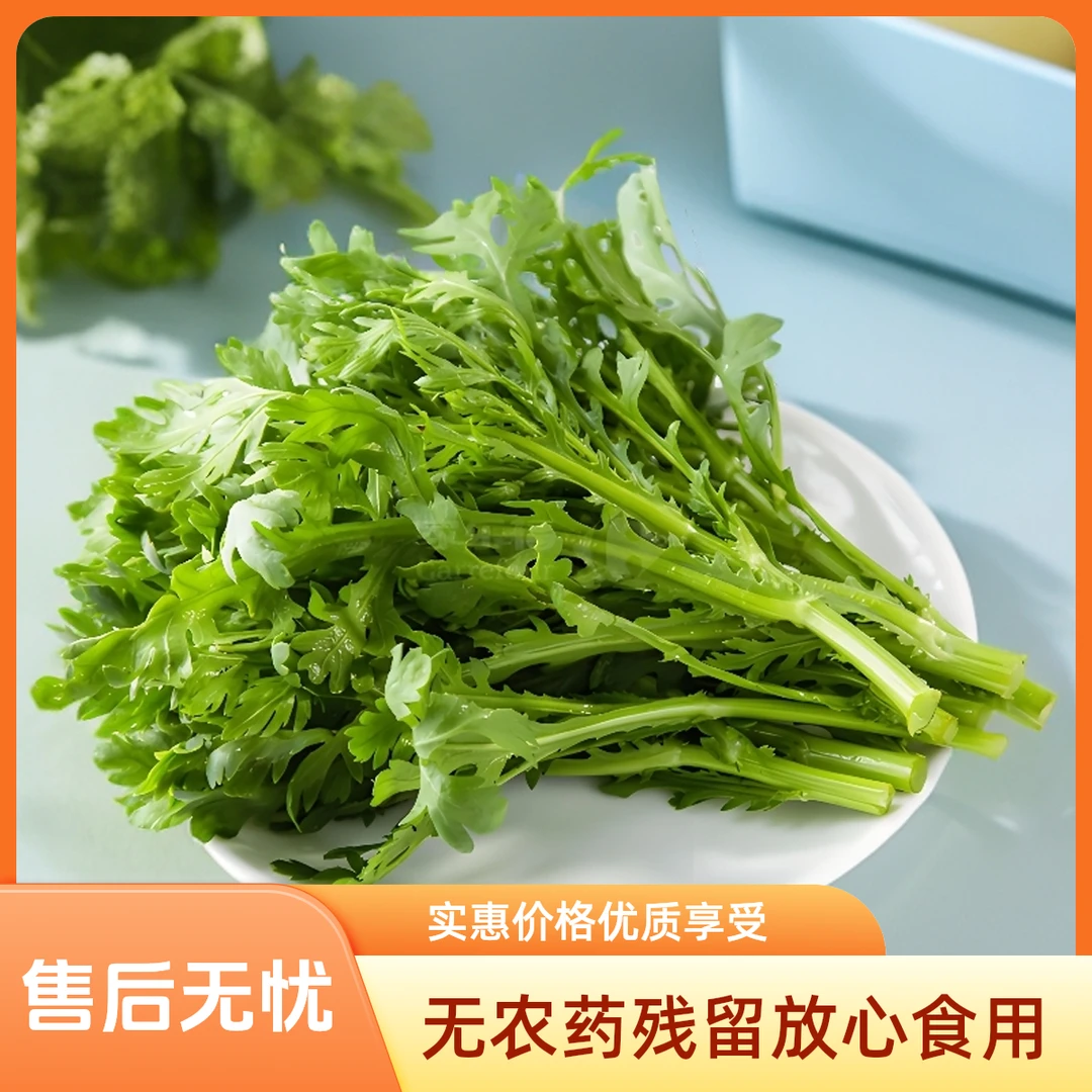 自然生长茼蒿无农药当日送达绿色健康