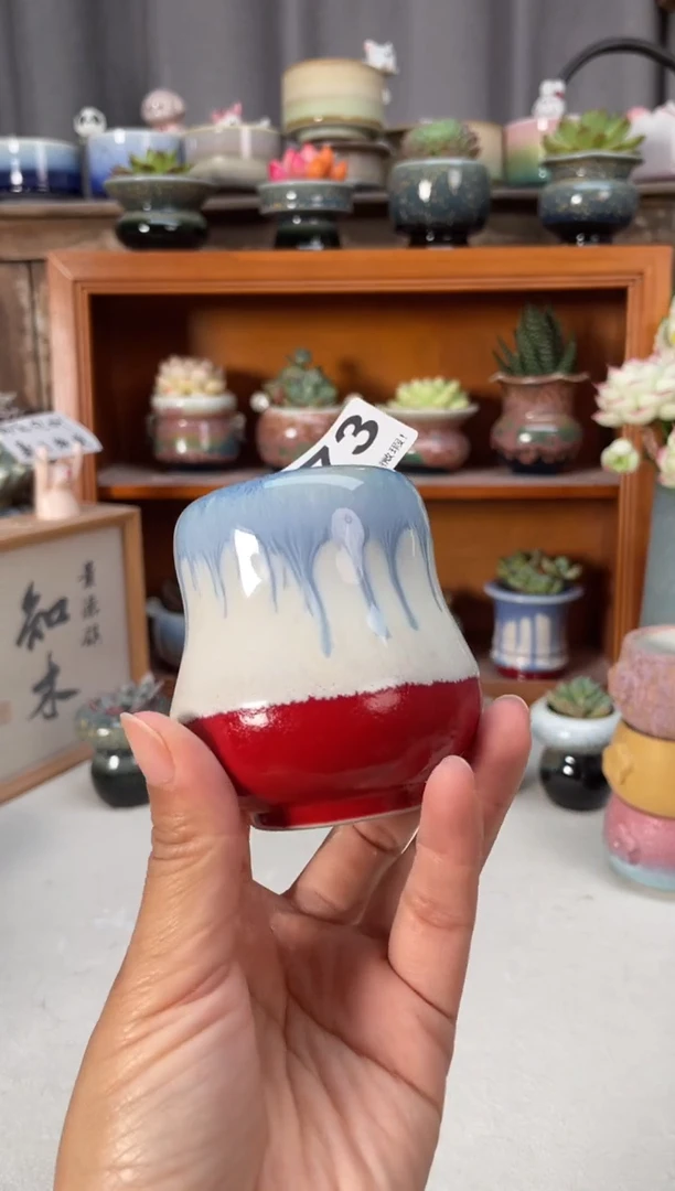 瓷片273知木小芳花盆