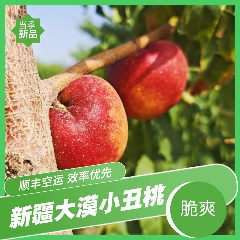 【顺丰空运】新疆大漠小丑桃
