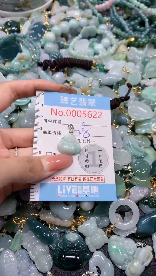 翡翠未镶嵌颈饰5622