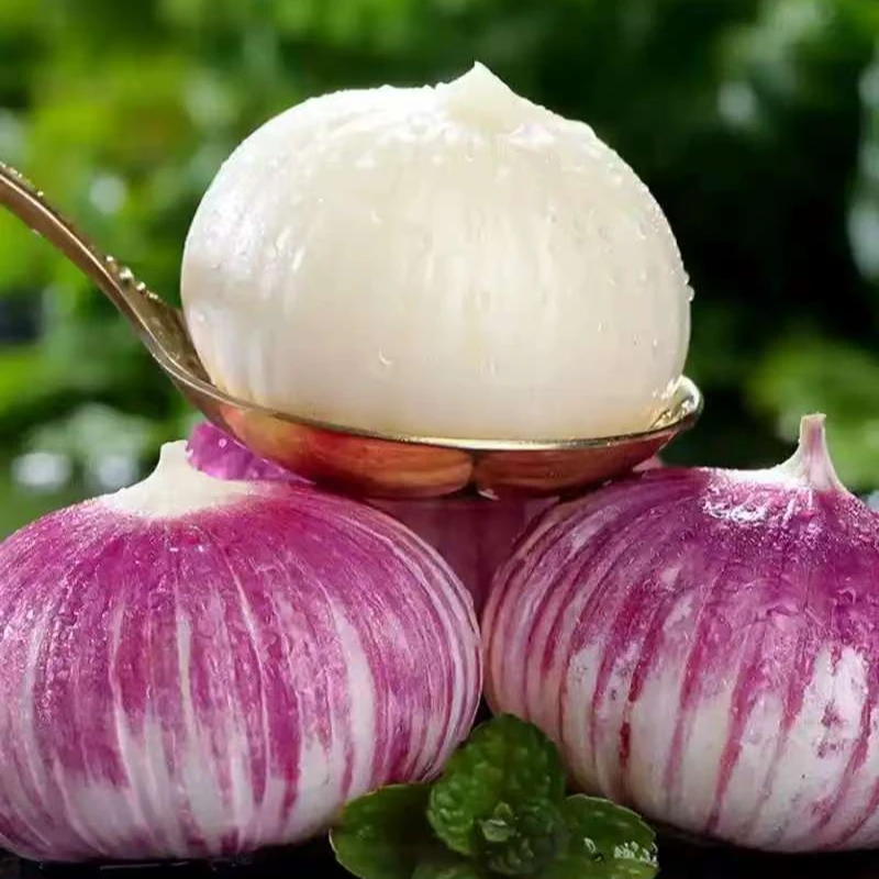 无品牌 宝坻特产正宗紫皮独头蒜200g大蒜