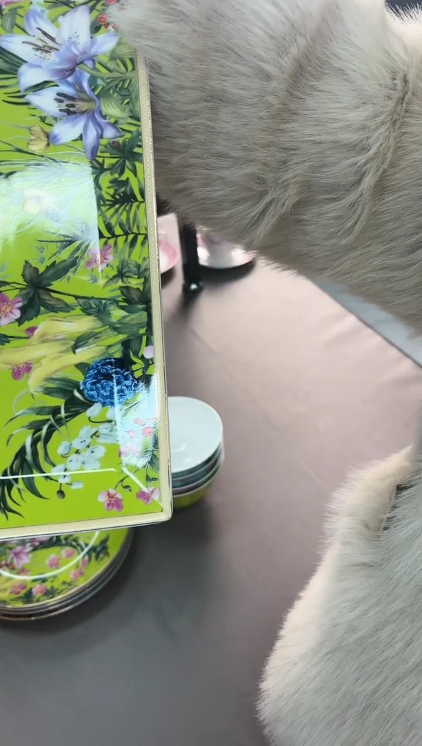 【闪购商品】瓷片SKUSKUSKUSKU278