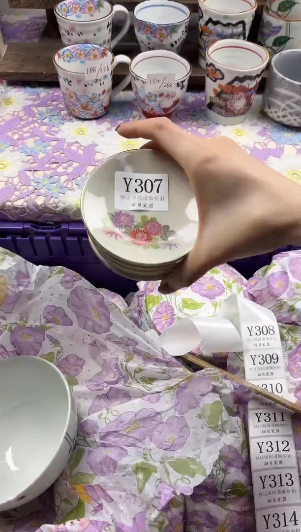 瓷片胖                     Y307