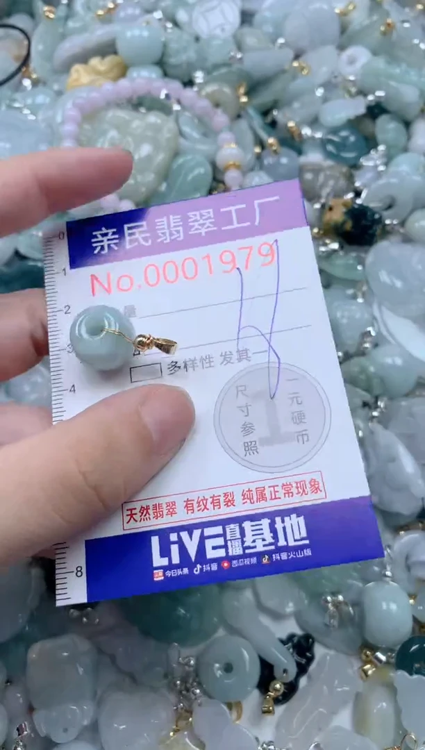 颈饰未镶嵌翡翠1979