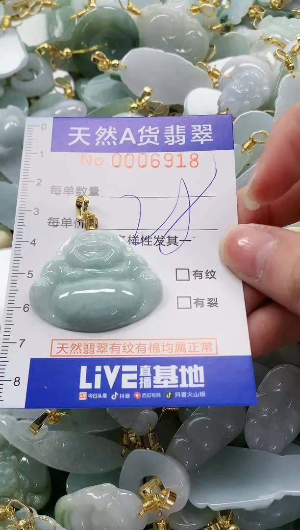 颈饰未镶嵌翡翠纯天然a货翡翠