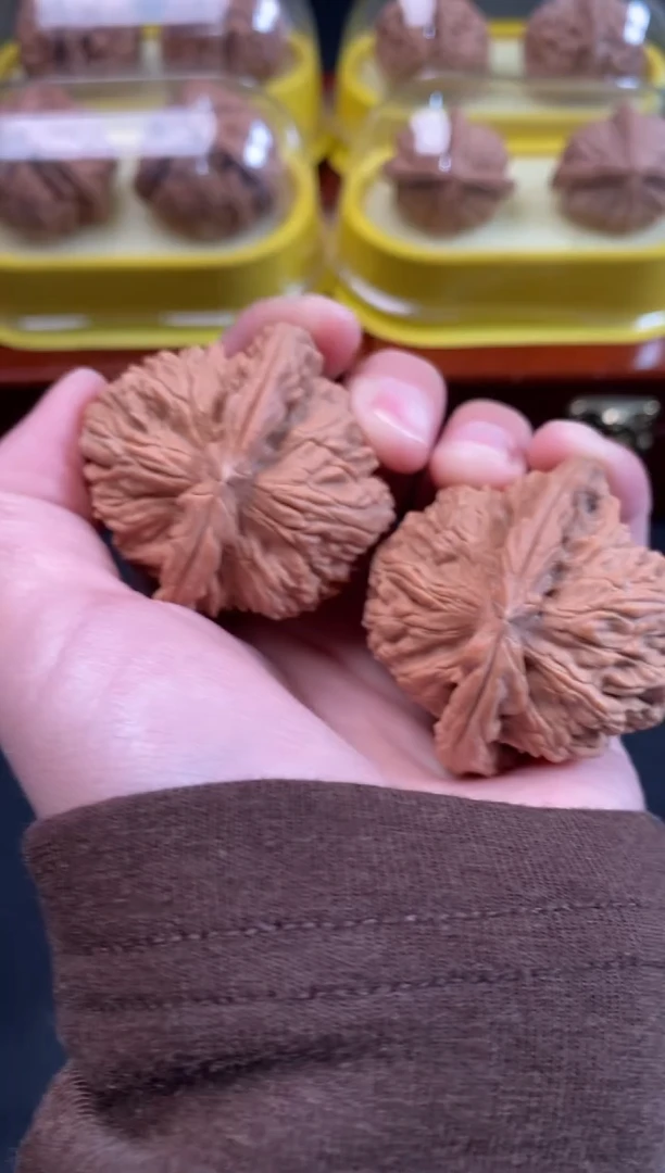 把件文玩核桃王****_白狮子43尺c594