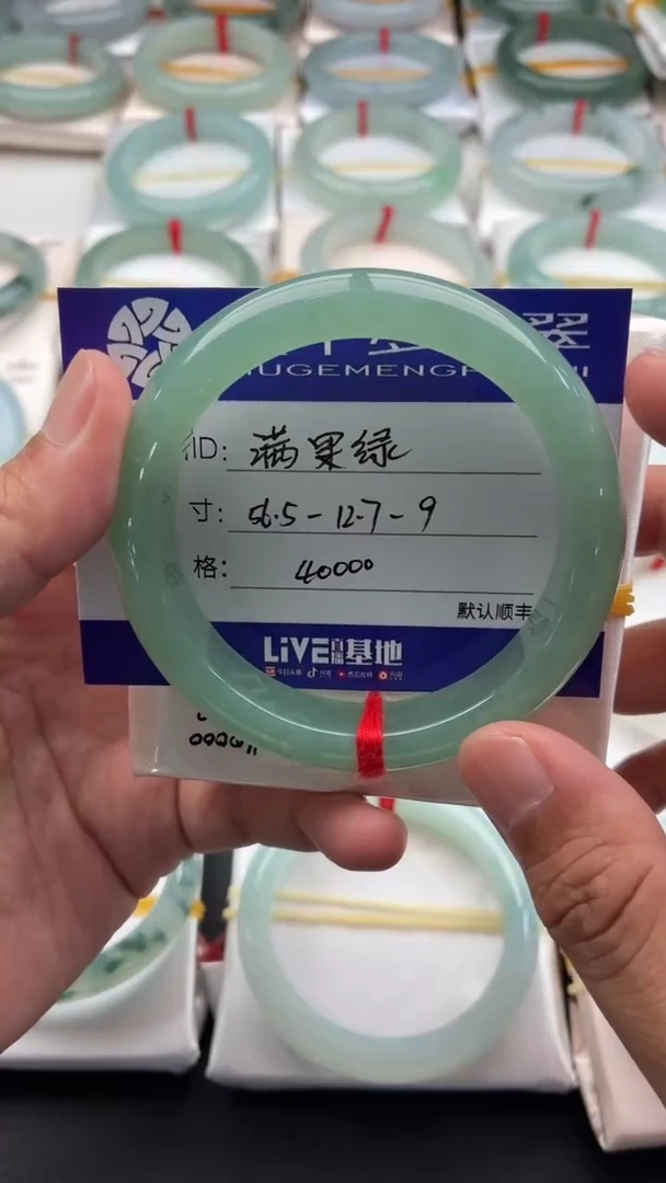 未镶嵌手镯翡翠满果绿