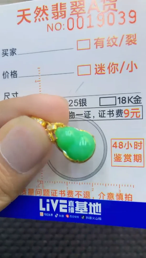 翡翠未镶嵌吊坠(不含链)1