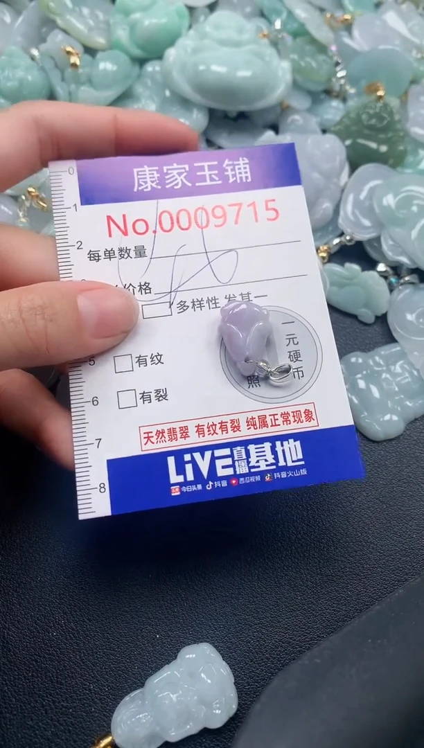 颈饰未镶嵌翡翠9715